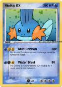 Mudkip EX