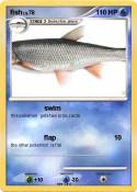 fish