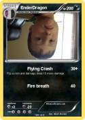 EnderDragon
