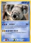 koala