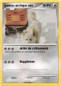 pastou arctique