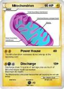 Mitochondrion