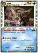 chat