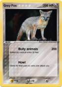 Gray Fox