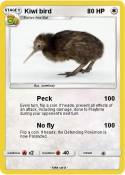 Kiwi bird