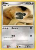 Gibbon