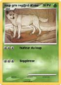 loup gris reg@r