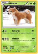 shiba inu