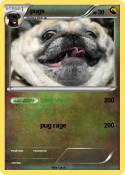 pugs