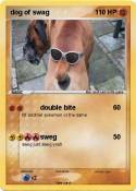 dog of swag