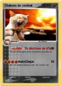 Chatons de