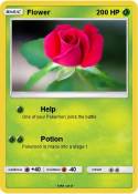 Flower
