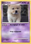 chow-chow