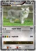 strong cat