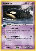 Baby Orca