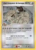  chat braqueur