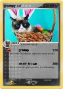 grumpy cat