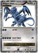 dragon blanc