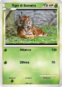 Tigre di Sumatr