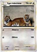 Tigre Indocines