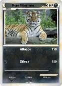 Tigre Siberiana