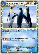 trio de manchot