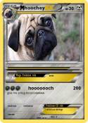 hoochey