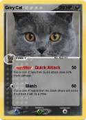 Grey Cat
