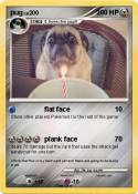 pug