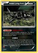 Asian Long Horn