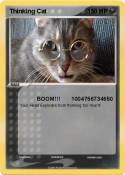 Thinking Cat