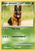 berger allemand