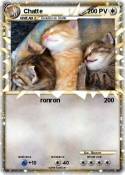 Chatte