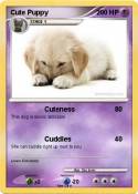 Cute Puppy