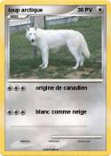 loup arctique