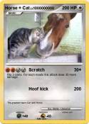 Horse + Cat