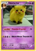 Pikachu Cat