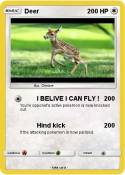 Deer