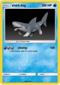 shark dog