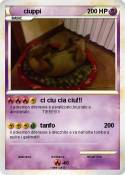 ciuppi