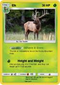 Elk