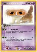 chat 