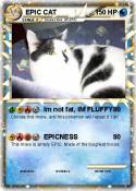 EPIC CAT