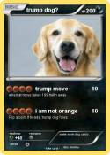 trump dog?