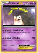 Pickle cat