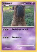 bullmastiff
