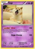 Doge