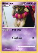 chow-chow