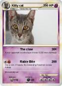 Kitty cat