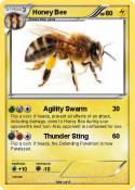 Honey Bee